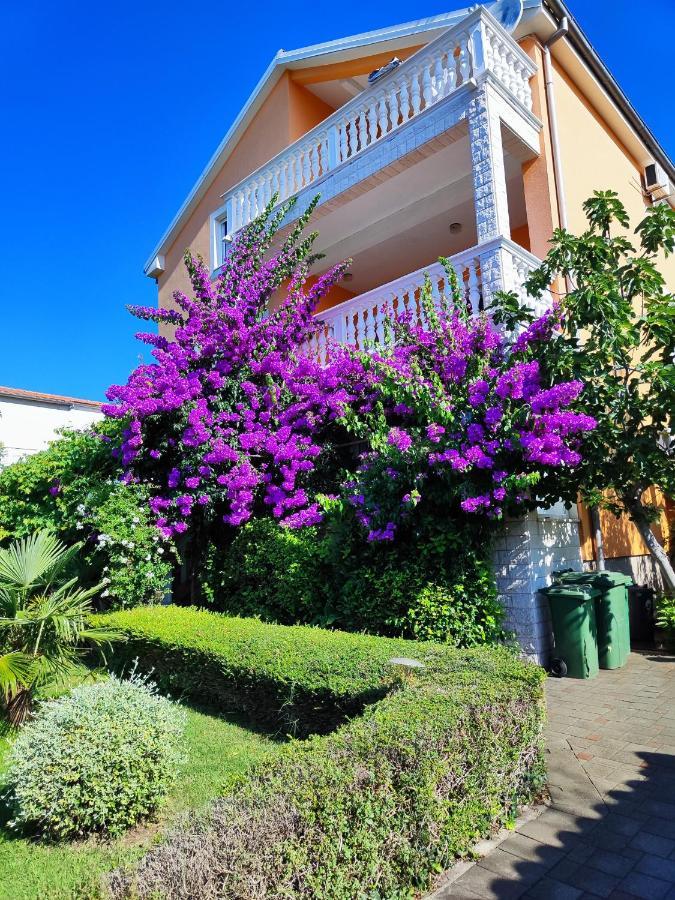 Apartmani Seka Vodice Exterior photo
