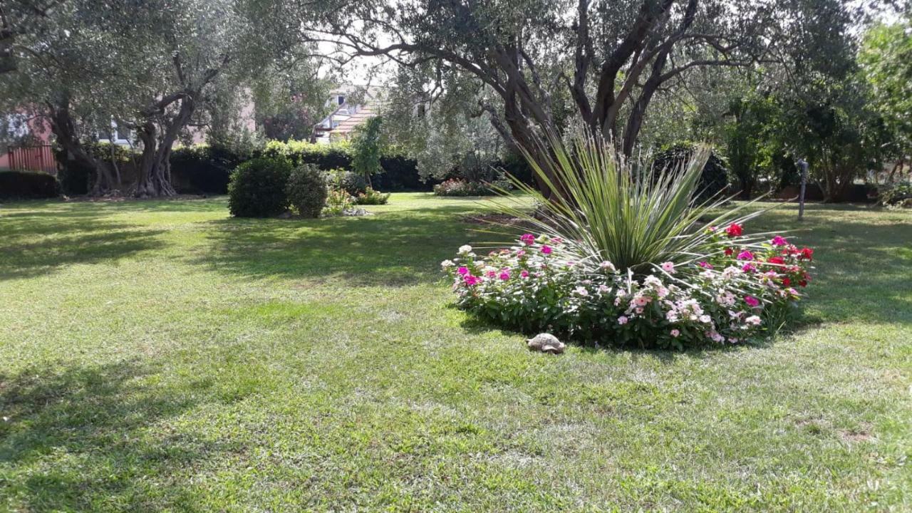 Apartmani Seka Vodice Exterior photo